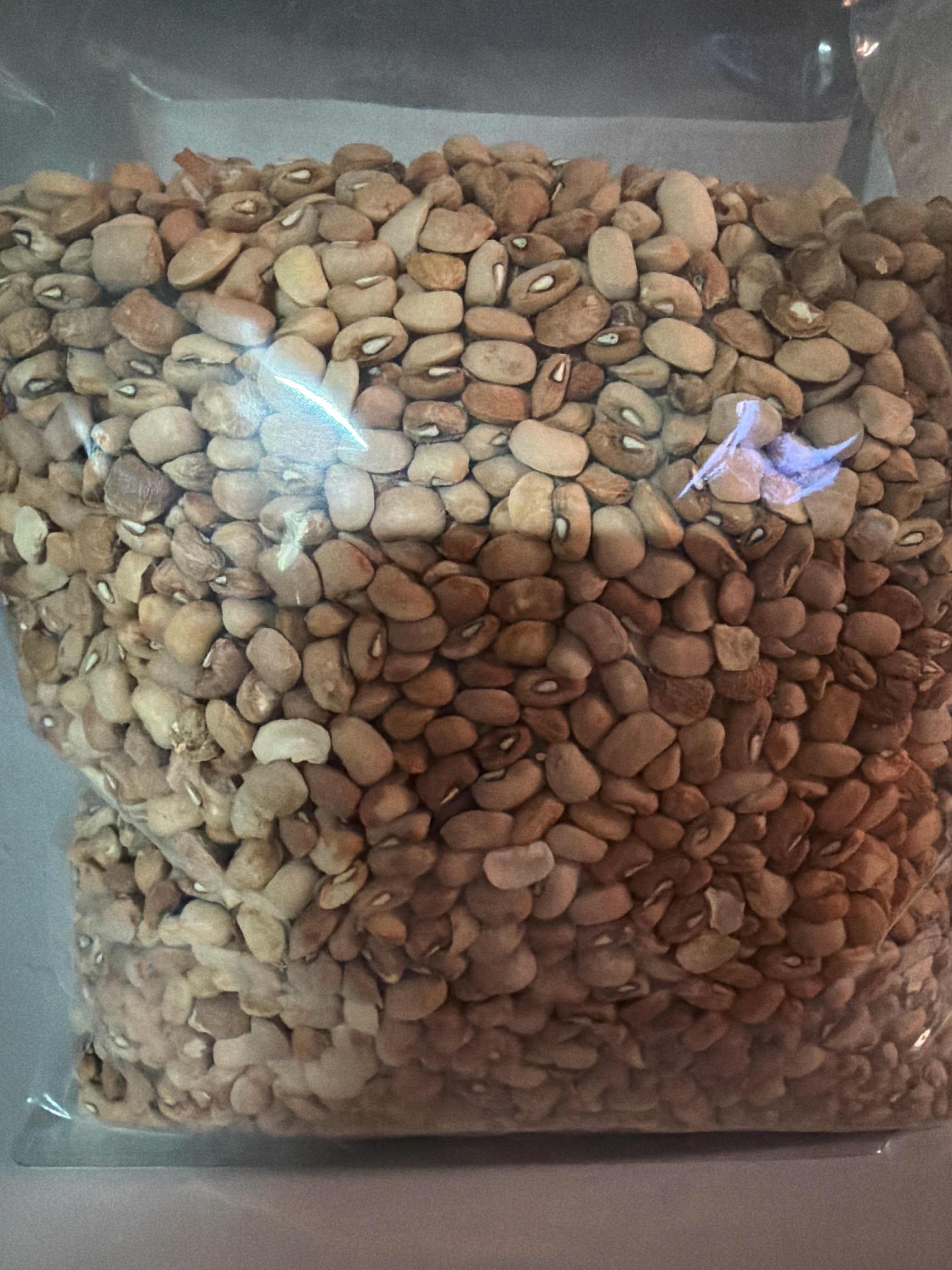 Honey Beans